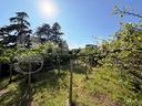 terreno-residenziale-brescia-lotto-sansonvrg-