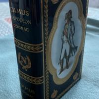 Camus Napoleon Cognac da collezione