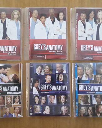 Grey’s anatomy