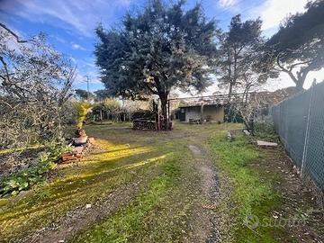 Terreno edif. resid. a Cecina