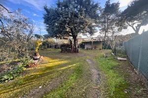 Terreno edif. resid. a Cecina