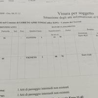 Terreno agricolo con Olivi in Loreto Aprutino (PE)
