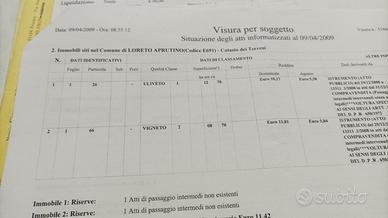 Terreno agricolo con Olivi in Loreto Aprutino (PE)
