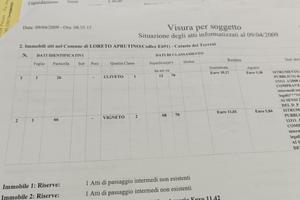 Terreno agricolo con Olivi in Loreto Aprutino (PE)