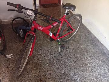 bicicletta   a 60 euro 