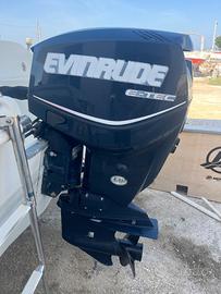 Evinrude Hp 115 mod E-Tec
