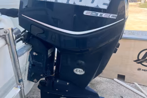 Evinrude Hp 115 mod E-Tec
