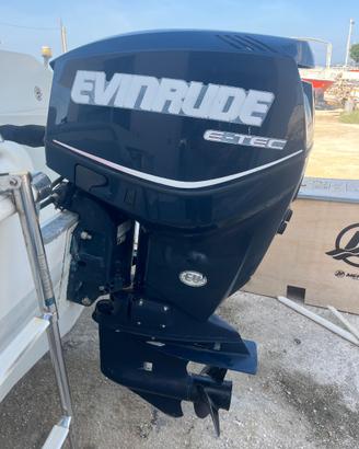 Evinrude Hp 115 mod E-Tec