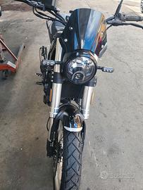 benelli leoncino trial