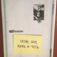 Esco a fare due passi F. Volo romanzo