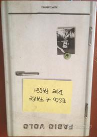 Esco a fare due passi F. Volo romanzo