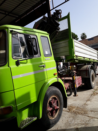 Camion con gru ribaltabile