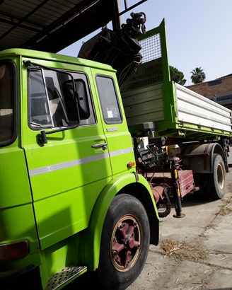 Camion con gru ribaltabile