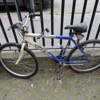 MTB Frejus ruote da 26"