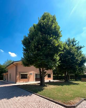 Magazzino C2 di 350 mq - lotto 2.000 mq