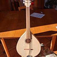 mandola irlandese