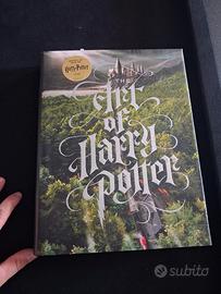 Libro Harry Potter 