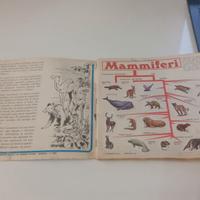 Album Figurine Mammiferi, ed. Panini, anno 1976
