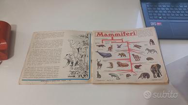 Album Figurine Mammiferi, ed. Panini, anno 1976