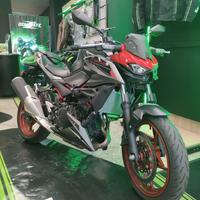 Kawasaki Z 500 SE