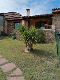 Casa Corallo - per le tue vacanze estive