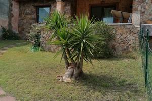 Casa Corallo - per le tue vacanze estive