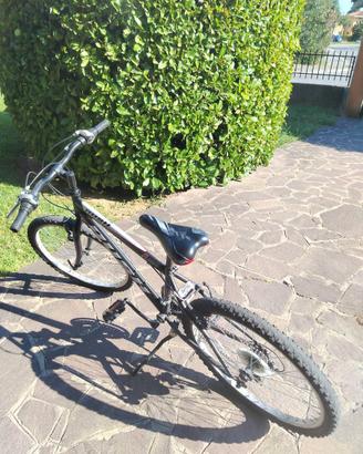 Bicicletta da ragazzo tenuta molto bene