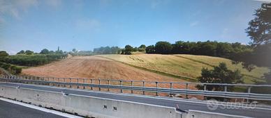 Terreno agricolo a Bonito (Av)