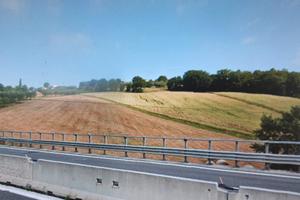 Terreno agricolo a Bonito (Av)