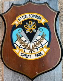 U.S.A - Crest  "Squadrone di prova - Combat sage "