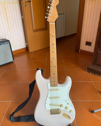 Fender stratocaster partcaster(descrizione)
