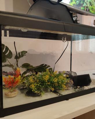 acquario ferplast