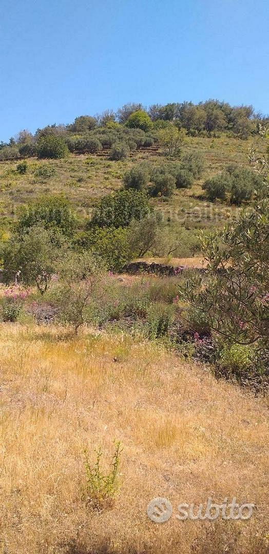 Terreno agricolo a Linguaglossa - Vista 2