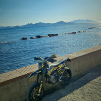 Husqvarna fs 450 2021 targata