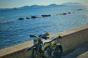 Husqvarna fs 450 2021 targata