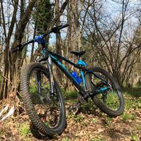 Bici MTB