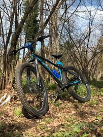 Bici MTB