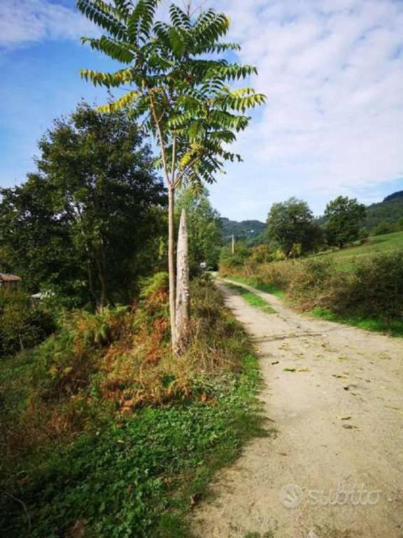 Immobile in asta di 54494 m² a Barberino di Mugell - Vista 4