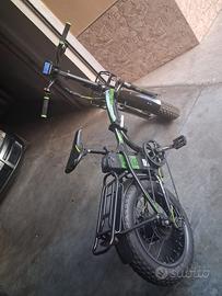 bicicletta elettrica