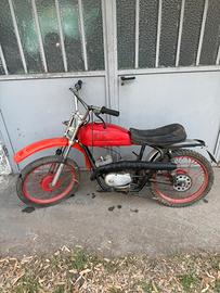 Beta 50