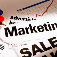 Marketer & Sales