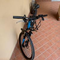 Bicicletta elettrica pedala assistita