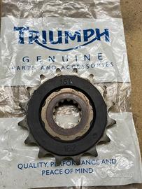 pignone Triumph street triple 2009