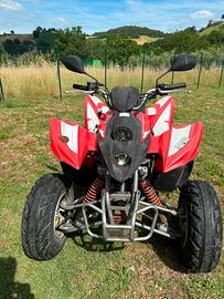 Quad ligier 220