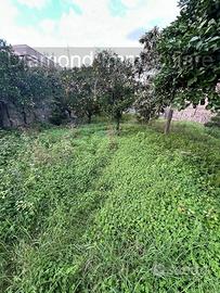 Terreno edificabile 1000mq a Giarre
