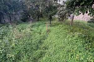 Terreno edificabile 1000mq a Giarre