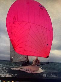 Cork 1720 - barca vela  8 M  pronta per regate