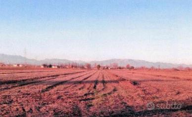 terreno agricolo sito in comune di Vedelag