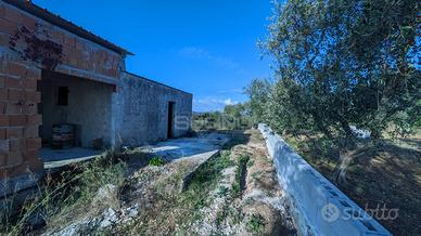 Terreno Agricolo - Noto