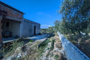 Terreno Agricolo - Noto